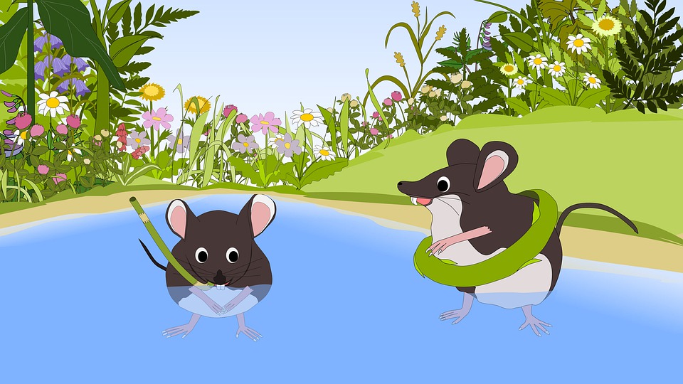 myši u vody
